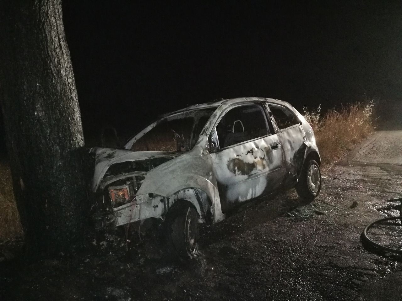 Macerata Sbanda E Finisce Contro Un Albero Auto In Fiamme Picchio