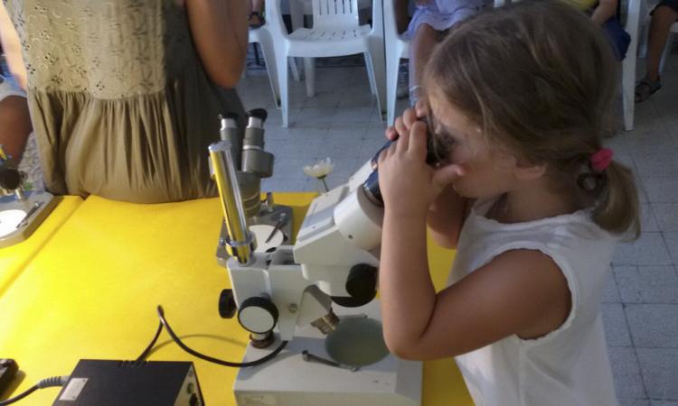 Festa Di Scienza E Filosofia In Trasferta A Civitanova Per Futura