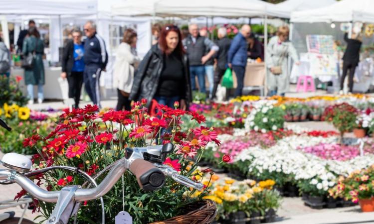 Civitanova Boom Di Turisti Per Il Ponte Del 25 Aprile Picchio News