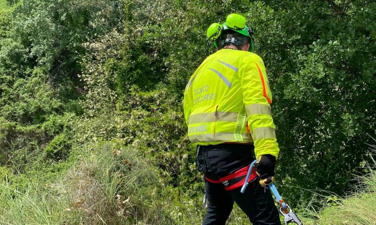 Grida Di Aiuto Provenienti Da Un Dirupo Task Force Di Ricerche