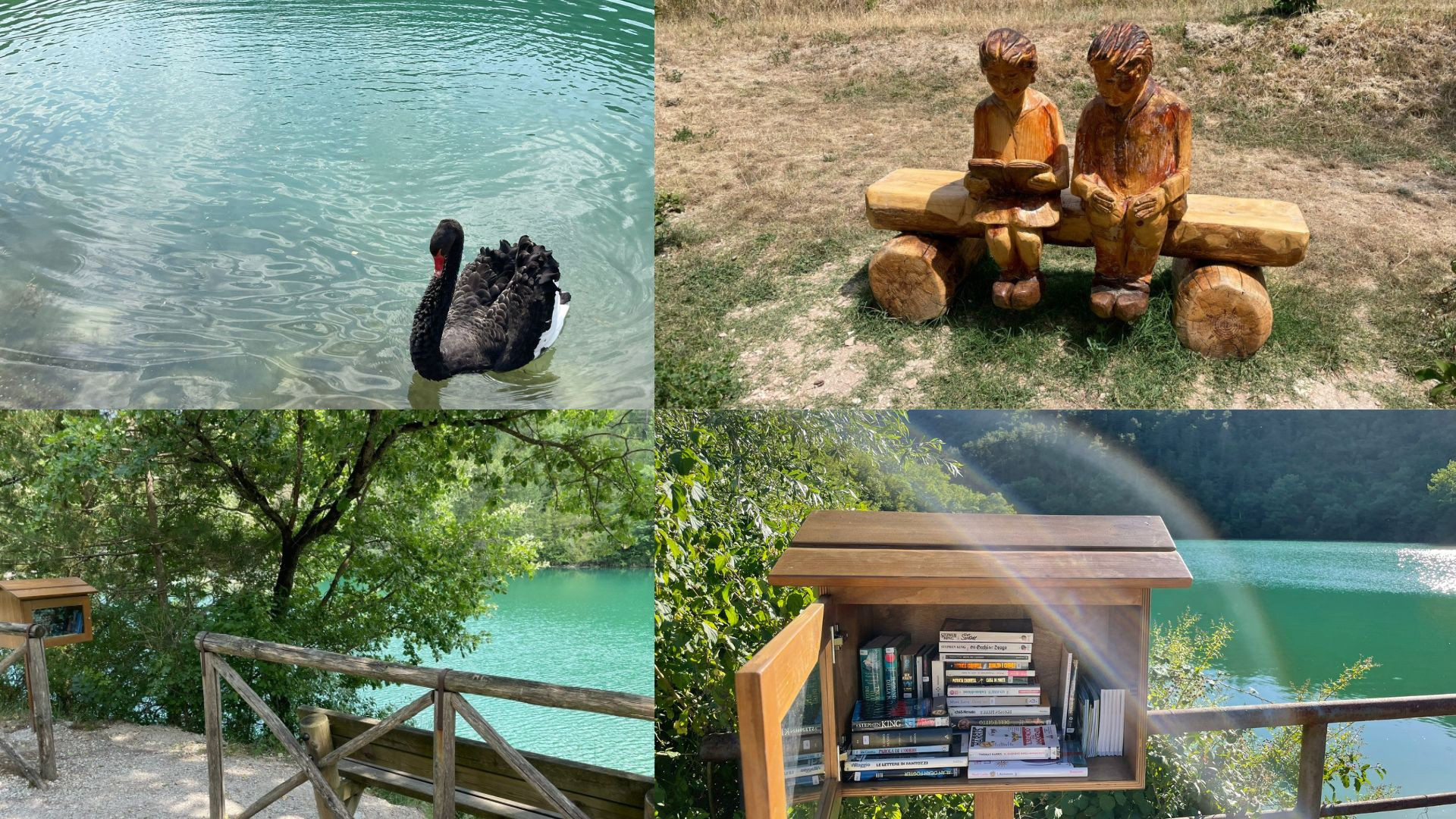 Coppia di cigni in acqua e nuovo percorso a piedi: il laghetto di  Valfornace torna a vivere - Picchio News - Il giornale tra la gente per la  gente