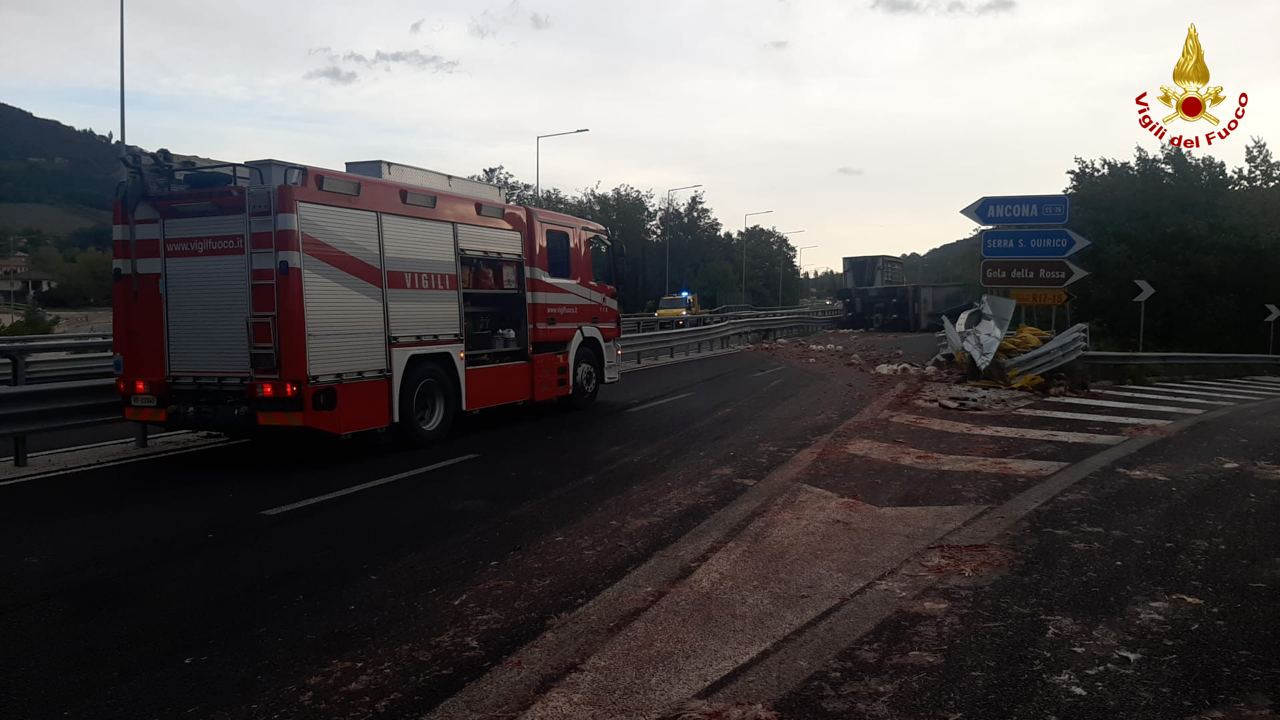 Camion Perde Il Carico Di Polli: Strada Statale 76 Chiusa Al Traffico ...