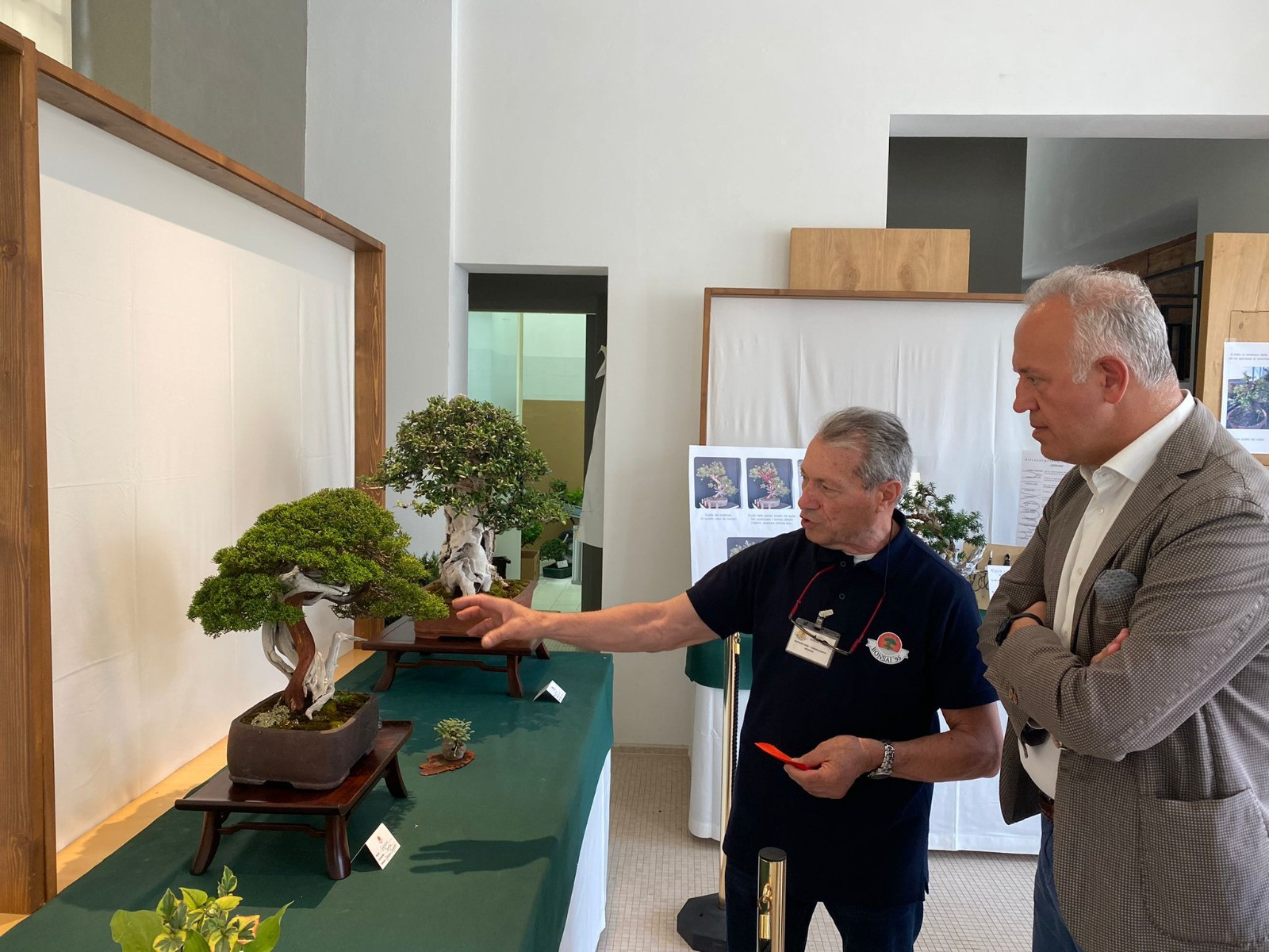 BONSAI ARTIFICIALE - Centro Fiori Padova