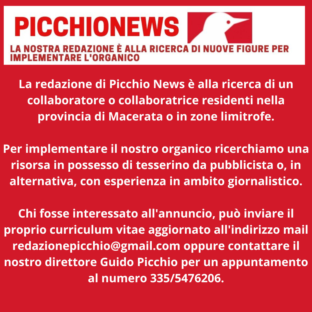Offerta di Lavoro Picchio News 2025