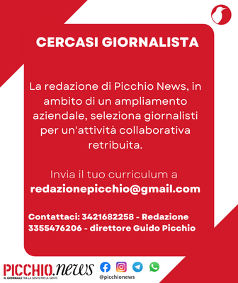 Picchio News