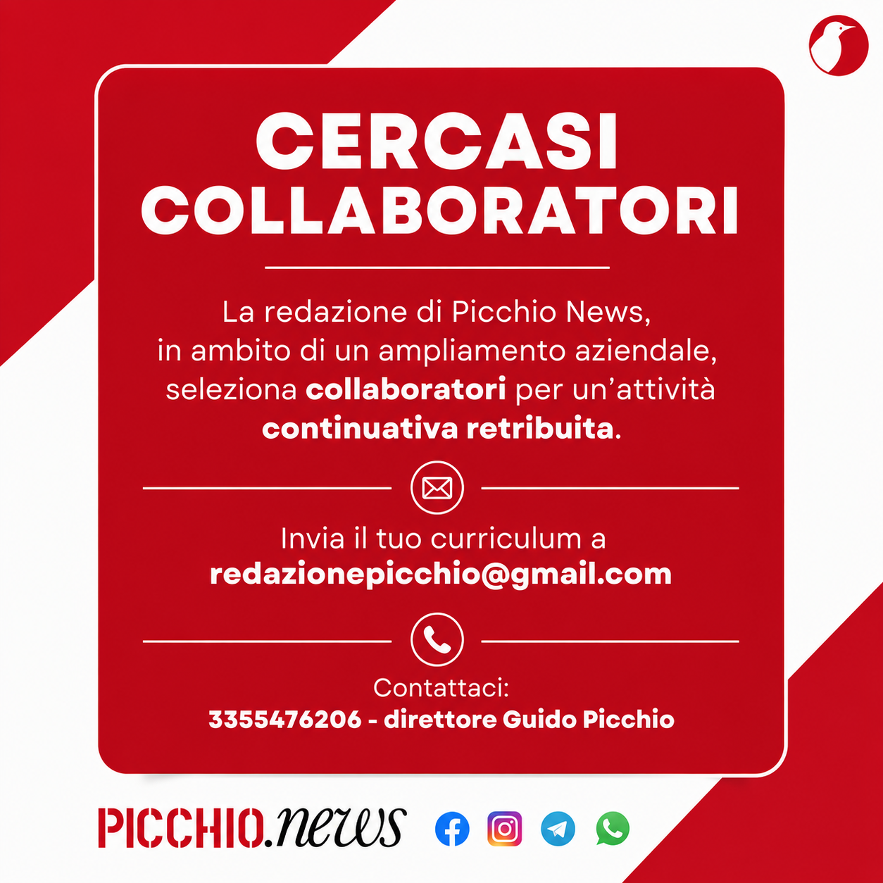 Picchio News