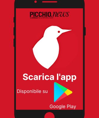 Picchio News