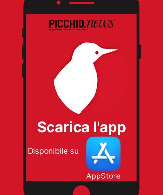 picchio news