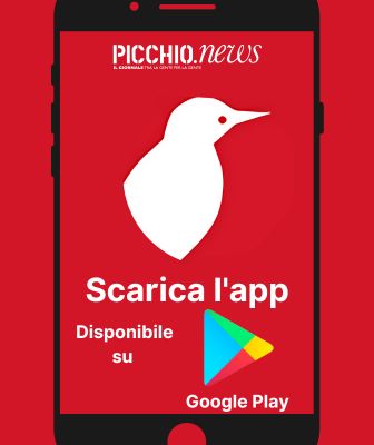 Picchio News