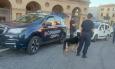 Cani antidroga e posti di blocco: controlli a tappeto dei Carabinieri a Macerata