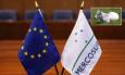 Accordo Ue-Mercosur, via libera alla firma: opportunità globali e timori per la carne bovina marchigiana