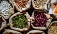 Legumi: piccoli semi, grande impatto