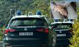 Recanati, vessazioni continue ai genitori anziani: arrestata una 48enne
