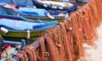 Pesca delle vongole, la Regione Marche chiude la lunga fase delle deroghe