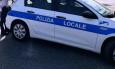 Macerata, capriolo sbuca all'improvviso e viene investito da un'auto