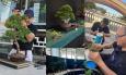 A Civitanova torna la Mostra Bonsai: due giornate dedicate all’arte orientale al Lido Cluana