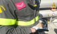 Gattino bloccato nella conduttura all'Ast di Macerata: intervengono i Vigili del fuoco