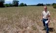 Un parco sul Chienti a Piediripa, la proposta di Blarasin: “Restituire centralità al fiume”