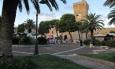 Porto Recanati, Fratelli d’Italia contro taglio pini di Piazza Brancondi