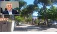 Tolentino, alberi da abbattere in viale della Repubblica. Bisonni attacca: "Più motoseghe che trasparenza"