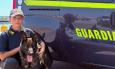 Guardia di finanza, a Civitanova arriva Elly: nuovo cane antidroga