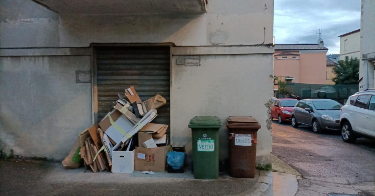 Rifiuti, conferimento umido solo in buste compostabili - Comune Monte  Sant'Angelo