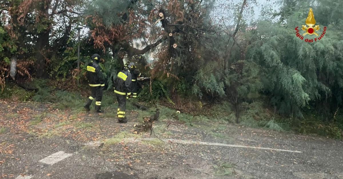 Maltempo Marche Gli Interventi Dei Vigili Del Fuoco Nella Notte