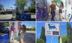 Taglio accise, il diesel sempre oltre due euro. Parola agli automobilisti: "Misure temporanee, servono soluzioni" (FOTO)