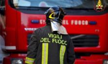 Treia, fiamme nella cucina di un appartamento: morto un cane, l'altro salvato dai vigili del fuoco