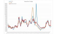 Covid, casi in lieve flessione e andamento dei ricoveri: l'analisi del virus nei grafici dell'ingegner Petro