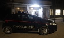 Civitanova, aggrediti con calci e pugni da una donna: "20 giorni di prognosi per due carabinieri"