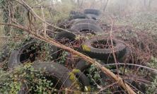 Pila di pneumatici abbandonati nelle vicinanze del Potenza: discarica a cielo aperto a San Severino