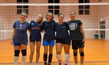 Cus Macerata, si avvicina l'esordio stagionale della squadra di pallavolo