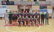 Pink Basket Macerata, debutto in serie C: la pallacanestro femminile torna in città dopo oltre 40 anni