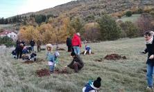 Fiastra, gli alunni piantano 40 alberi: grazie a un'app potranno monitorarne la crescita