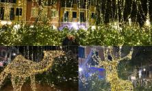 Porto Recanati, l'attrazione del Natale 2024 è il "Bosco Luminoso": un'oasi verde con 'cammelli' e 'cervi'