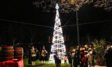 Valfornace accende l'albero di Natale tra cioccolata calda e vin brulé: è in gara tra i più belli delle Marche