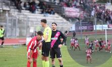 Tolentino-K Sport Montecchio, un arbitro che fa discutere. Passarini: "Ha incanalato la partita nel verso sbagliato" (VIDEO)