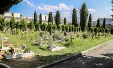 Macerata, forti raffiche di vento in città: chiusi parchi e cimitero comunale