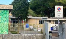 Civitanova, potature a scuola e nei quartieri: 280 mila euro per la manutenzione del verde