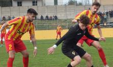 Giocatori squalificati in campo prima del match: polemica fra Potenza Picena e Urbis Salvia