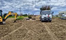 Civitanova, un nuovo bosco urbano con 362 alberi e una pista ciclabile: al via i lavori