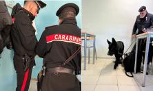 Macerata - Controlli antidroga nelle scuole, unità cinofila in azione: studente sorpreso con hashish
