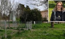 Macerata, polemica sgambatoi cani a Collevario. Laviano: "Intervento regolare e dopo valutazioni tecniche" Macerata, polemica sgambatoi cani a Collevario. Laviano: "Intervento regolare e dopo valutazioni tecniche"