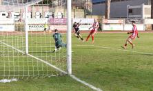 Eccellenza - Montecchio-Tolentino, chi vince la finale playoff accede alla fase nazionale: possibili avversarie, regolamento e date