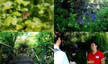 Il Giardino delle Farfalle di Cessapalombo: un angolo di natura da vivere e scoprire (VIDEO)