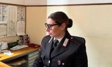 Macerata, rubano 20 bottiglie di liquore al supermercato: denunciato un 30enne, si cerca il complice
