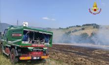 Sterpaglie a fuoco in un campo: bruciato un ettaro di terreno