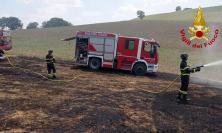 San Severino, incendio a Serralta: in fiamme sterpaglie e 15 rotoballe di fieno, bruciati 1,5 ettari