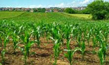 Il settore agricoltura tra sfide europee, dati nazionali e iniziative regionali